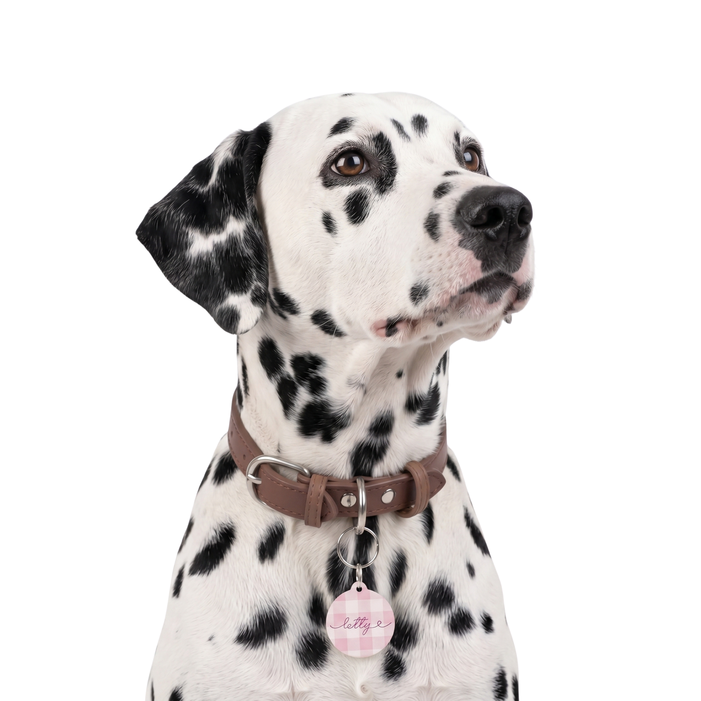 Personalized pink checkered pet tag - size reference