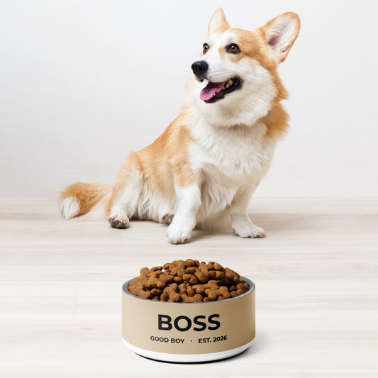 Corgi sitting next to a tan good boy personalized stainless steel dog bowl filled with kibble