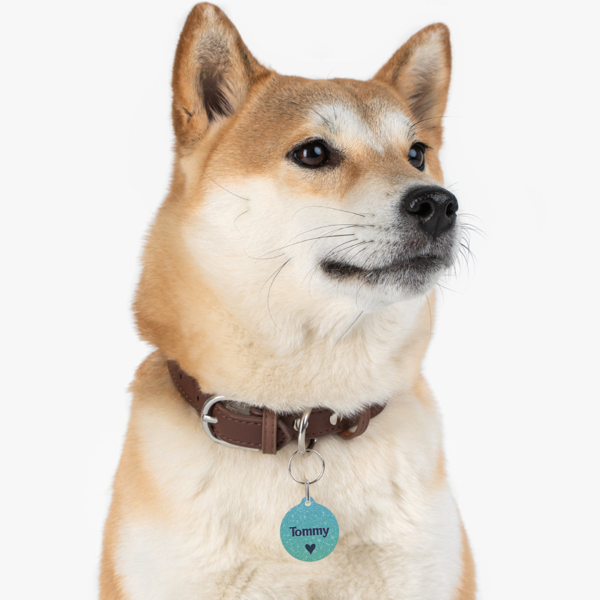 P005 Metallic blue green Name pet tag | Personalized Contact Info ID Tag