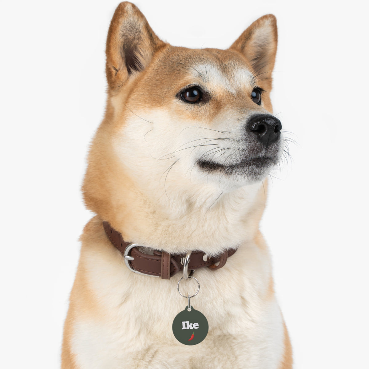 P004 green peper Name pet tag | Personalized Contact Info ID Tag