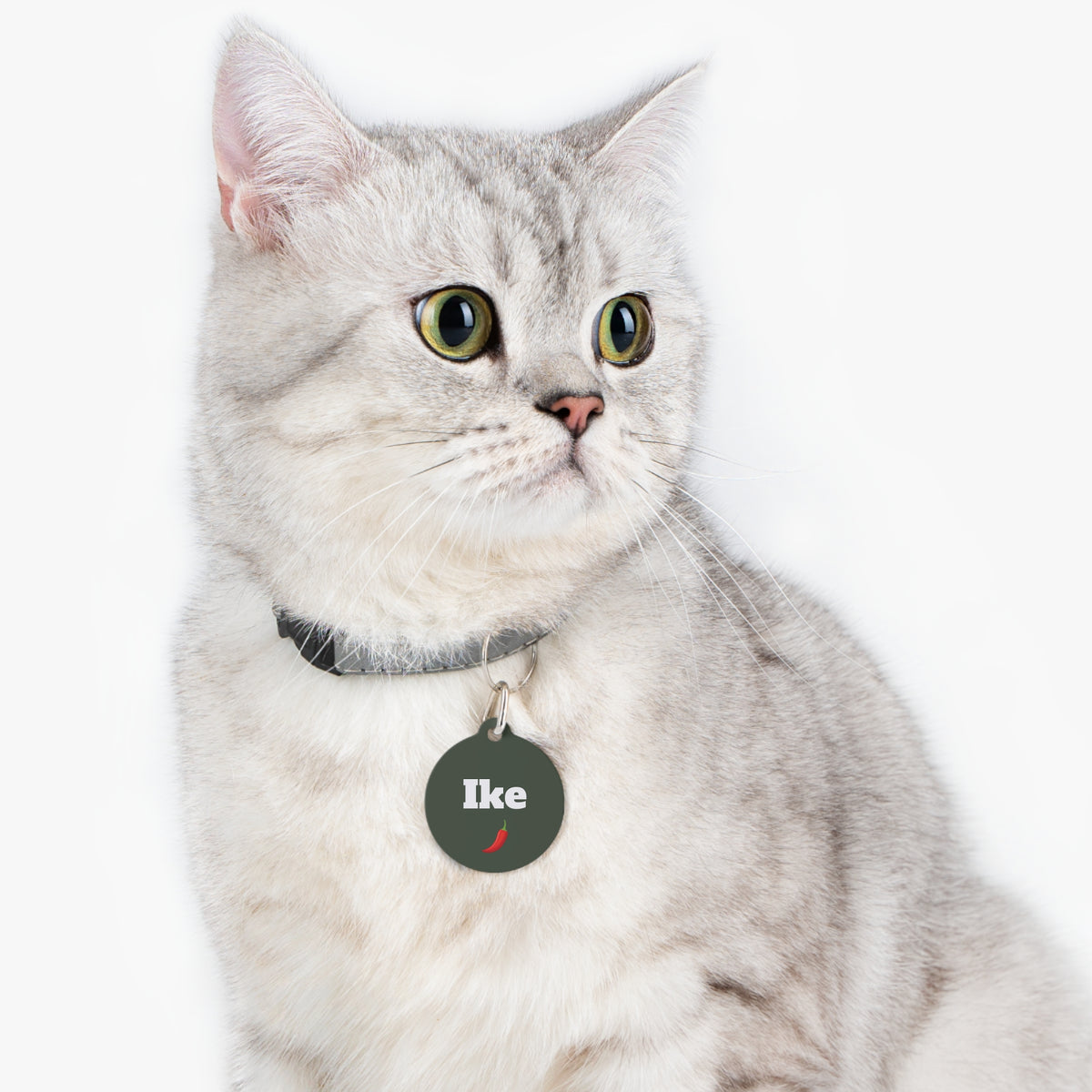 P004 green peper Name pet tag | Personalized Contact Info ID Tag