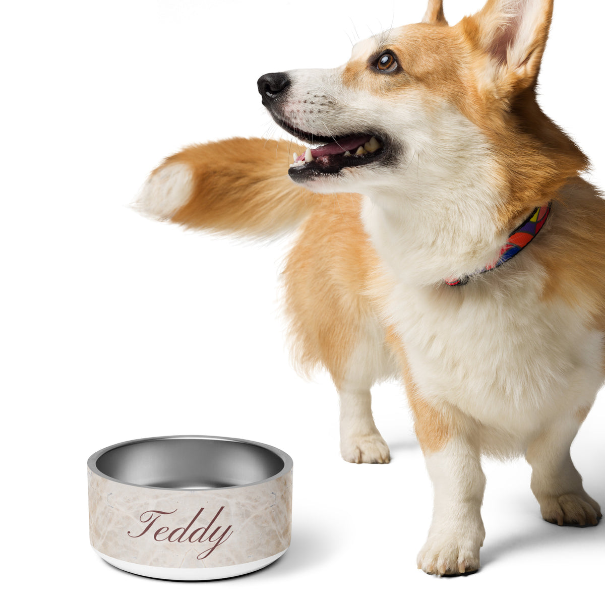 Corgi standing next to a beige marble personalized dog bowl