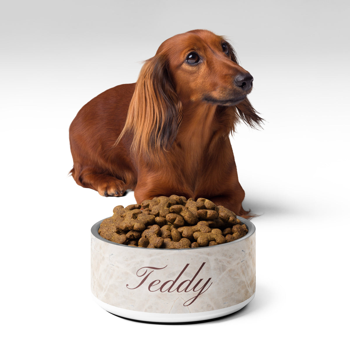 Dachshund lying behind a beige marble personalized dog bowl filled with kibble
