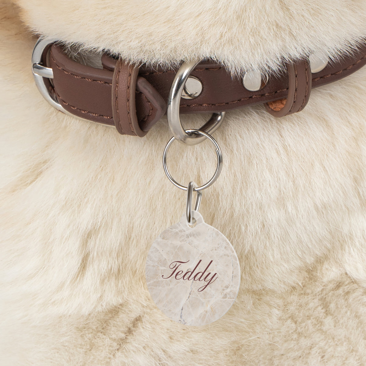 Beige marble pet tag hanging from a dark brown leather collar on a fluffy dog