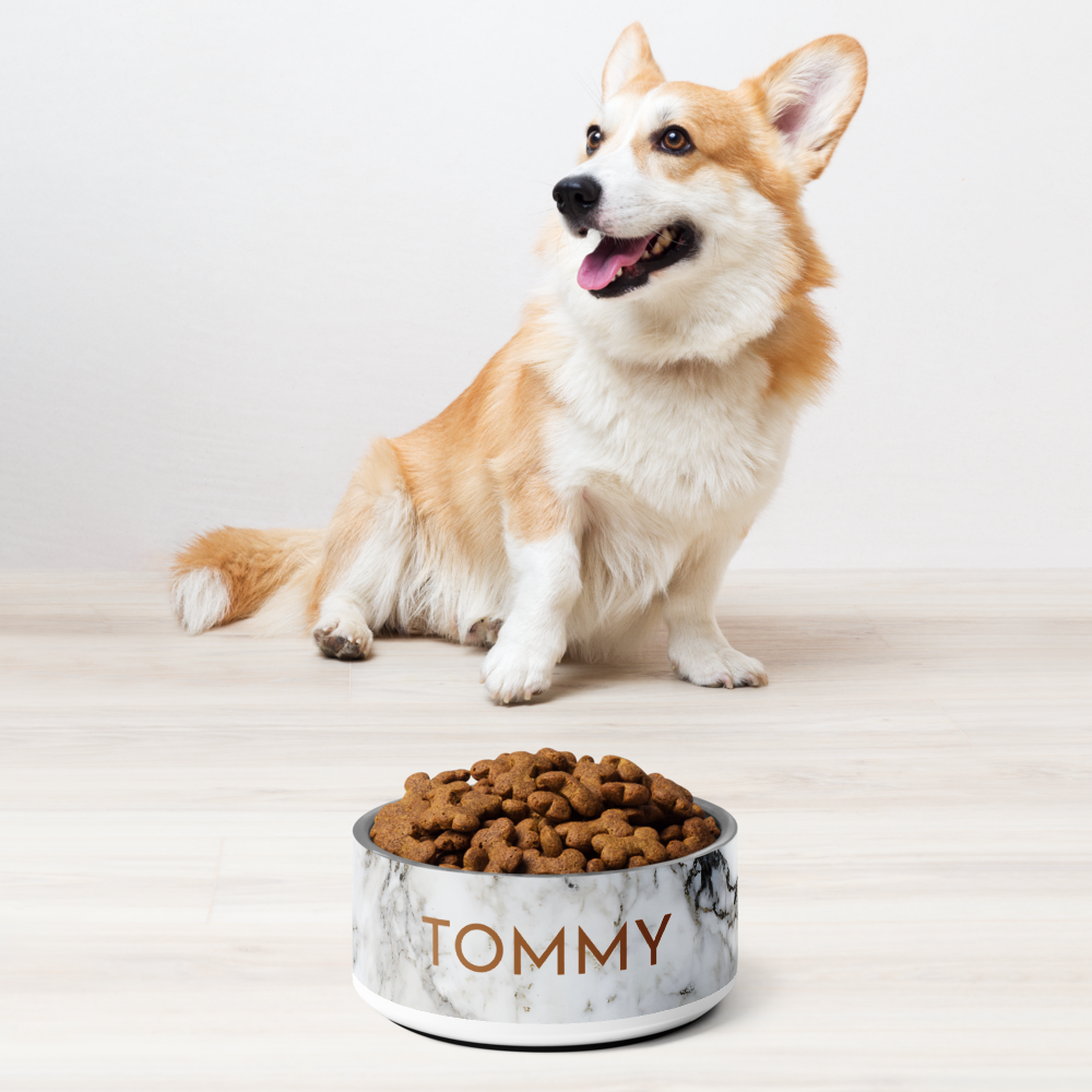 Corgi sitting next to a black and gold marble personalized dog bowl filled with kibble