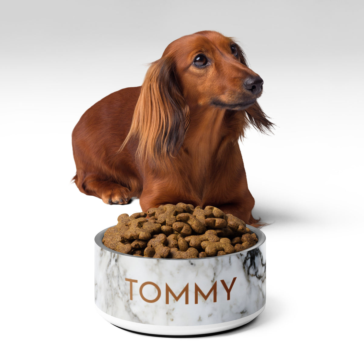 Dachshund sitting behind a black and gold marble personalized dog bowl filled with kibble, name Tommy