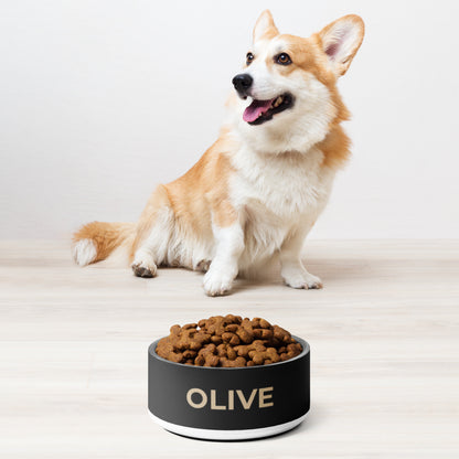 Corgi sitting next to a black and gold modern personalized stainless steel dog bowl filled with kibble
