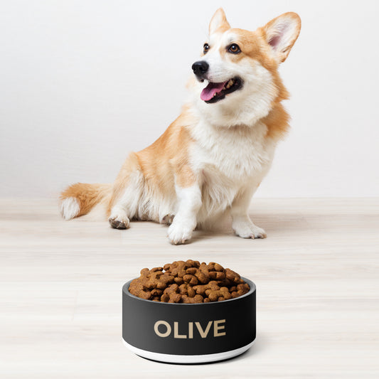 Corgi sitting next to a black and gold modern personalized stainless steel dog bowl filled with kibble