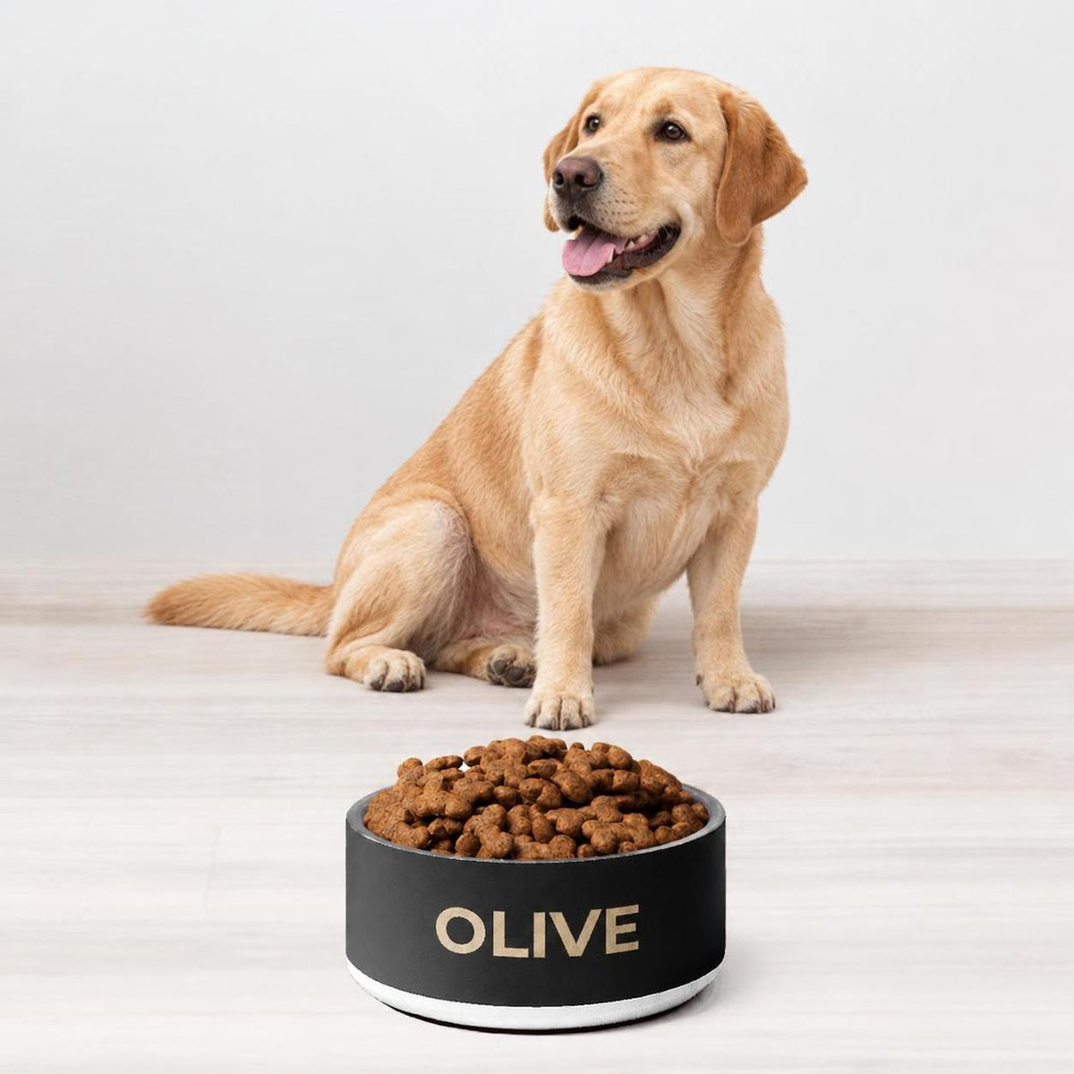 Golden retriever sitting behind a black and gold modern personalized dog bowl with the name Olive
