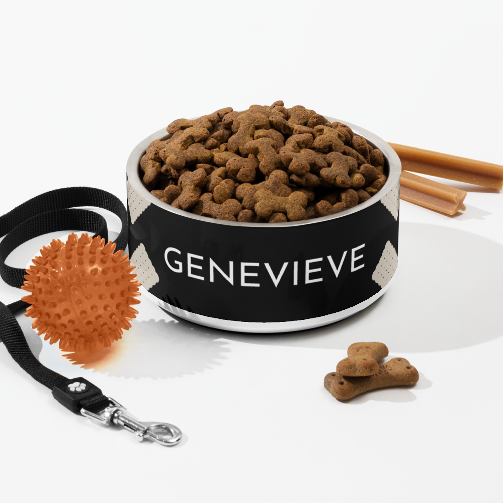 Large black biscuit personalized dog bowl with kibble, a leash, a ball and dog treats
