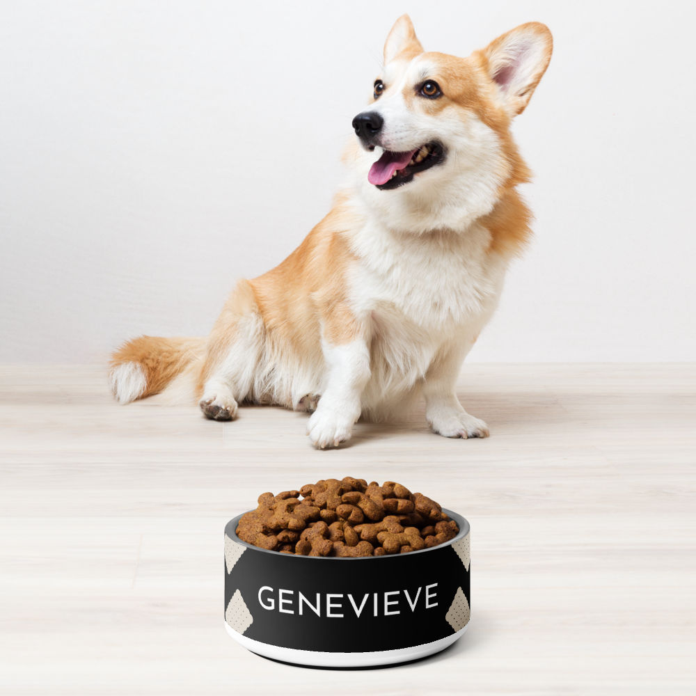 Corgi sitting next to a black biscuit personalized stainless steel dog bowl filled with kibble