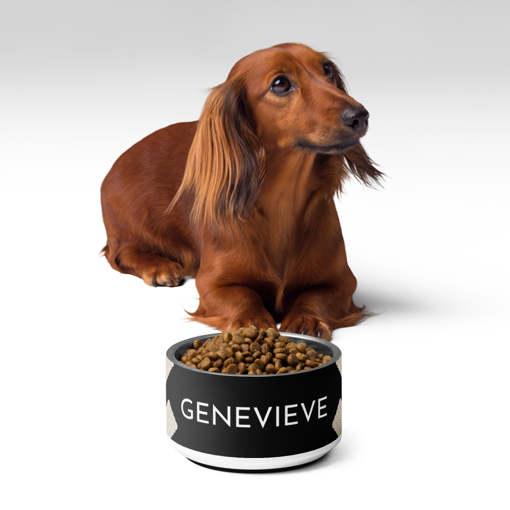 Dachshund sitting behind a black biscuit personalized stainless steel dog bowl filled with kibble