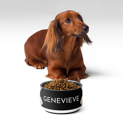 Dachshund sitting behind a black biscuit personalized stainless steel dog bowl filled with kibble
