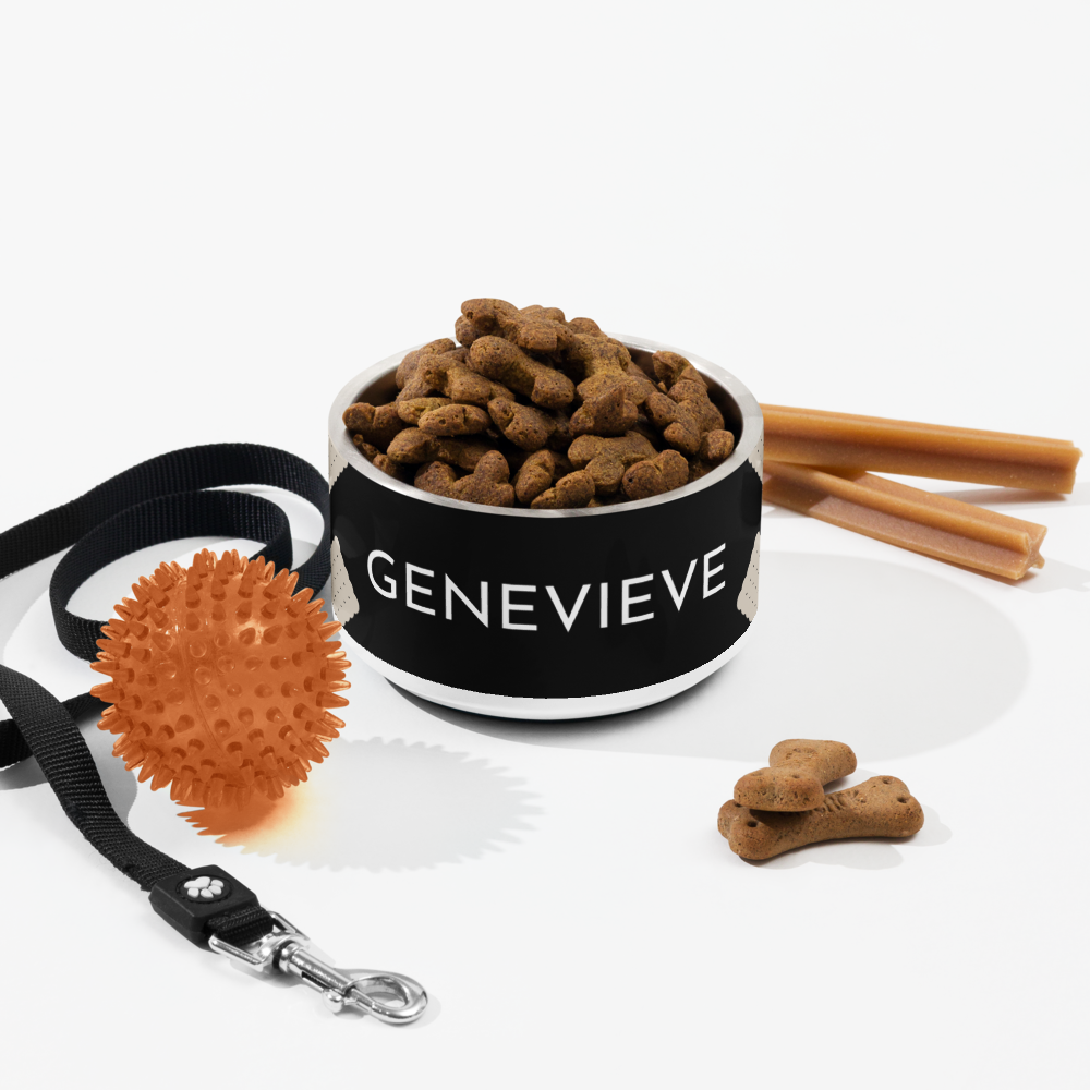 Black biscuit personalized dog bowl with kibble, a leash, a ball and dog treats