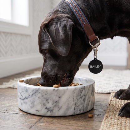 Black dog eating from a marble bowl while wearing a black modern personalized dog tag