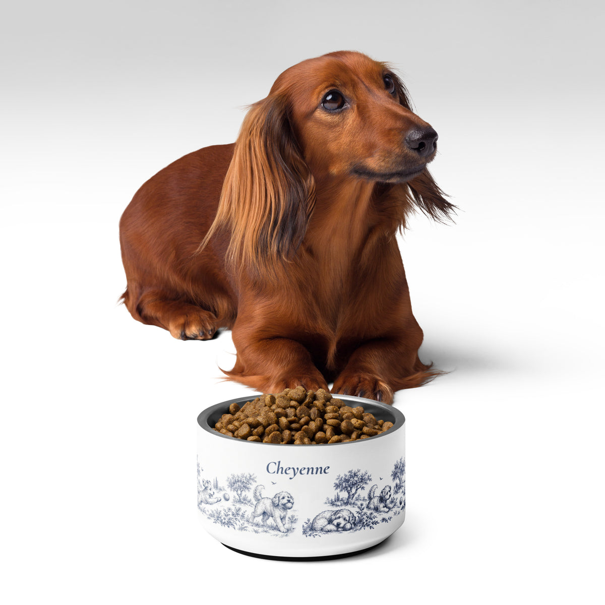 Dachshund lying behind a blue dog toile personalized dog bowl filled with kibble