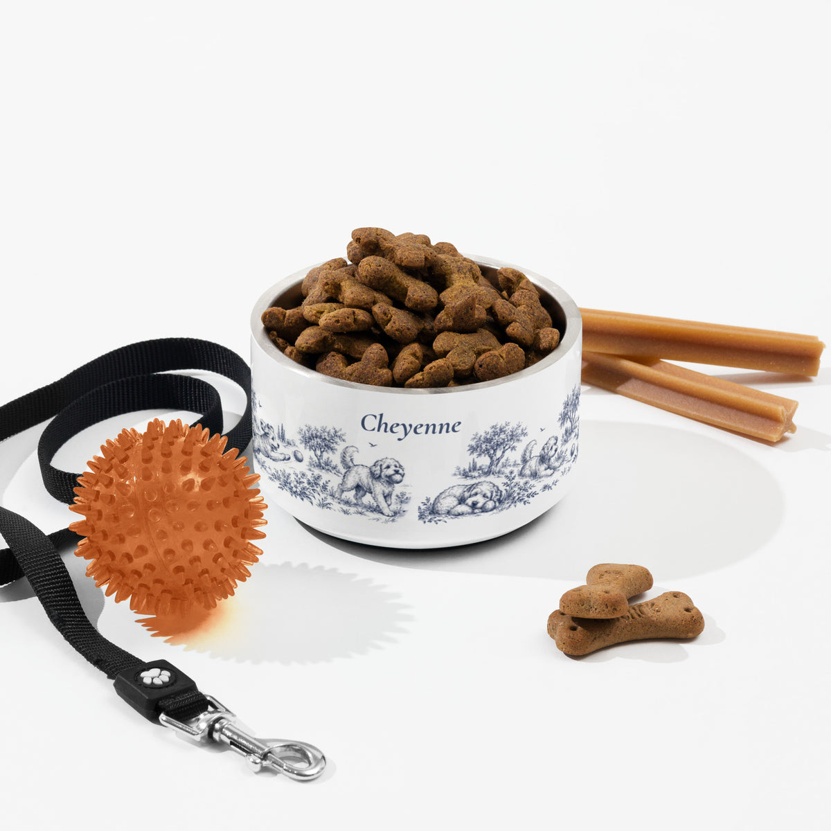 Blue dog toile personalized dog bowl with kibble, a leash, a ball and dog treats