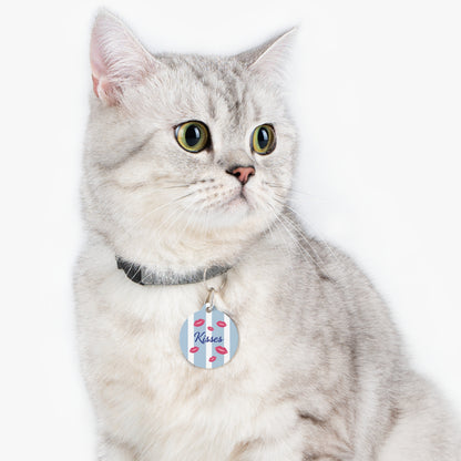 Cat wearing the personalized blue striped name tag
