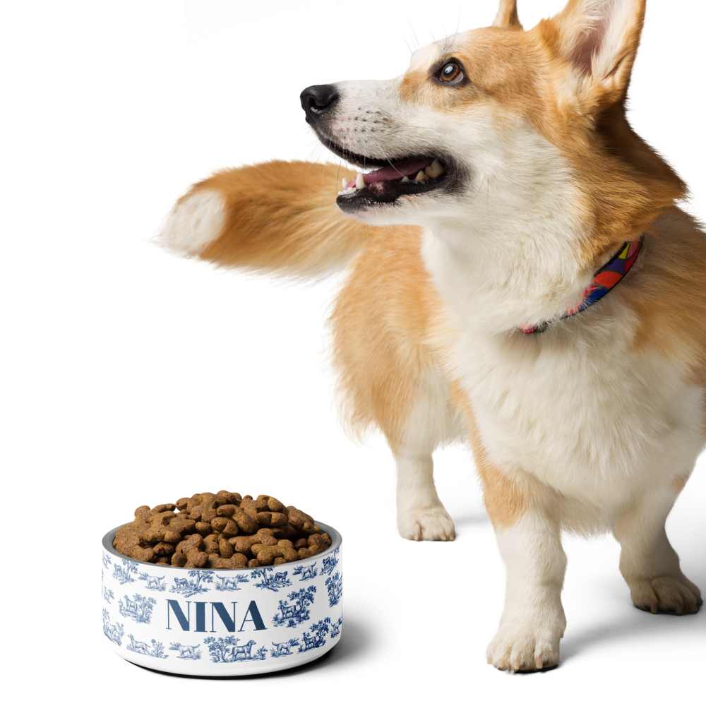 Corgi standing next to a blue toile personalized dog bowl with kibble