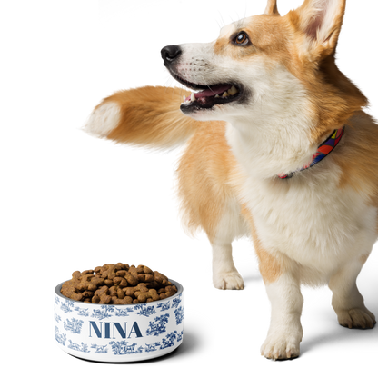 Corgi standing next to a blue toile personalized dog bowl with kibble