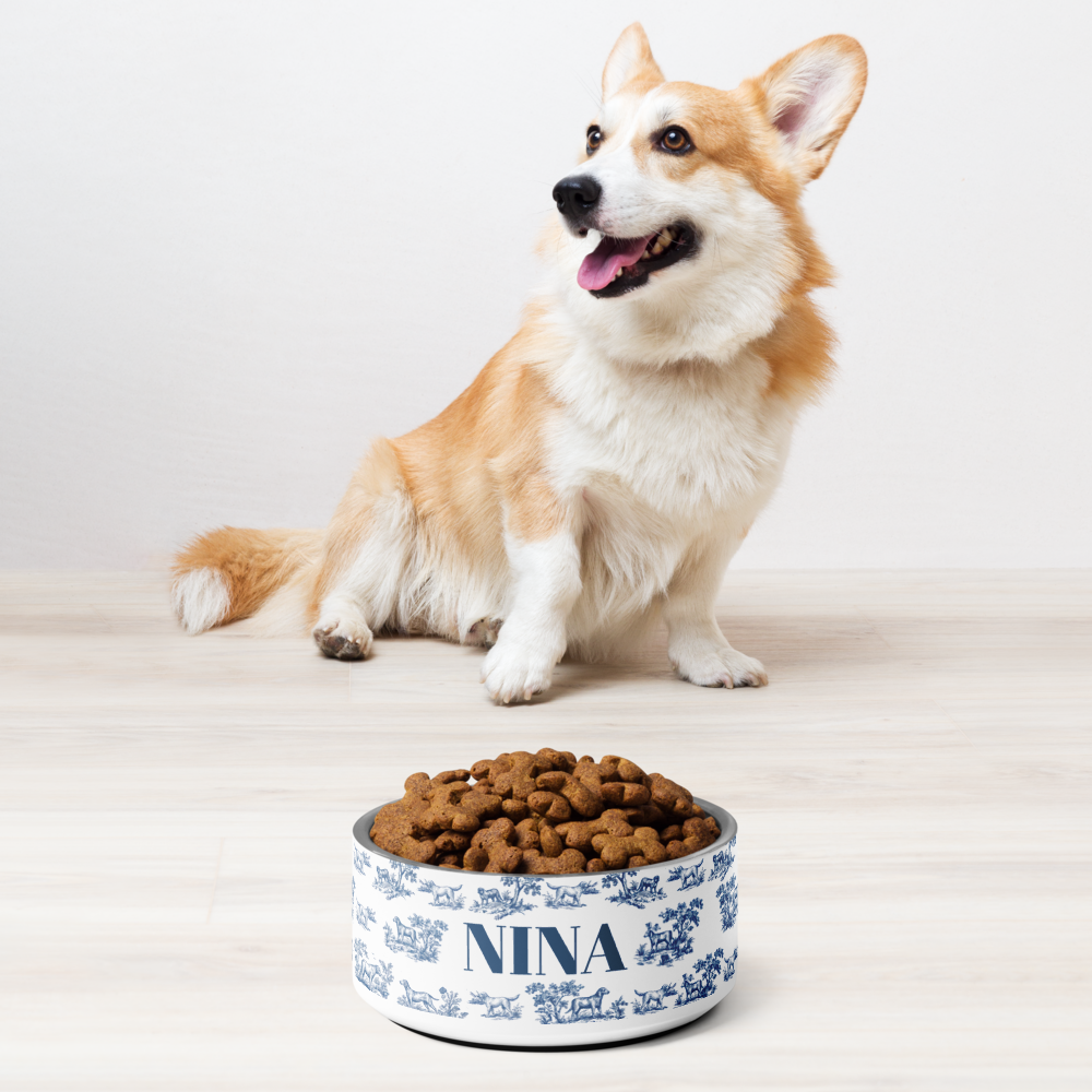 Corgi sitting next to a blue toile personalized dog bowl filled with kibble