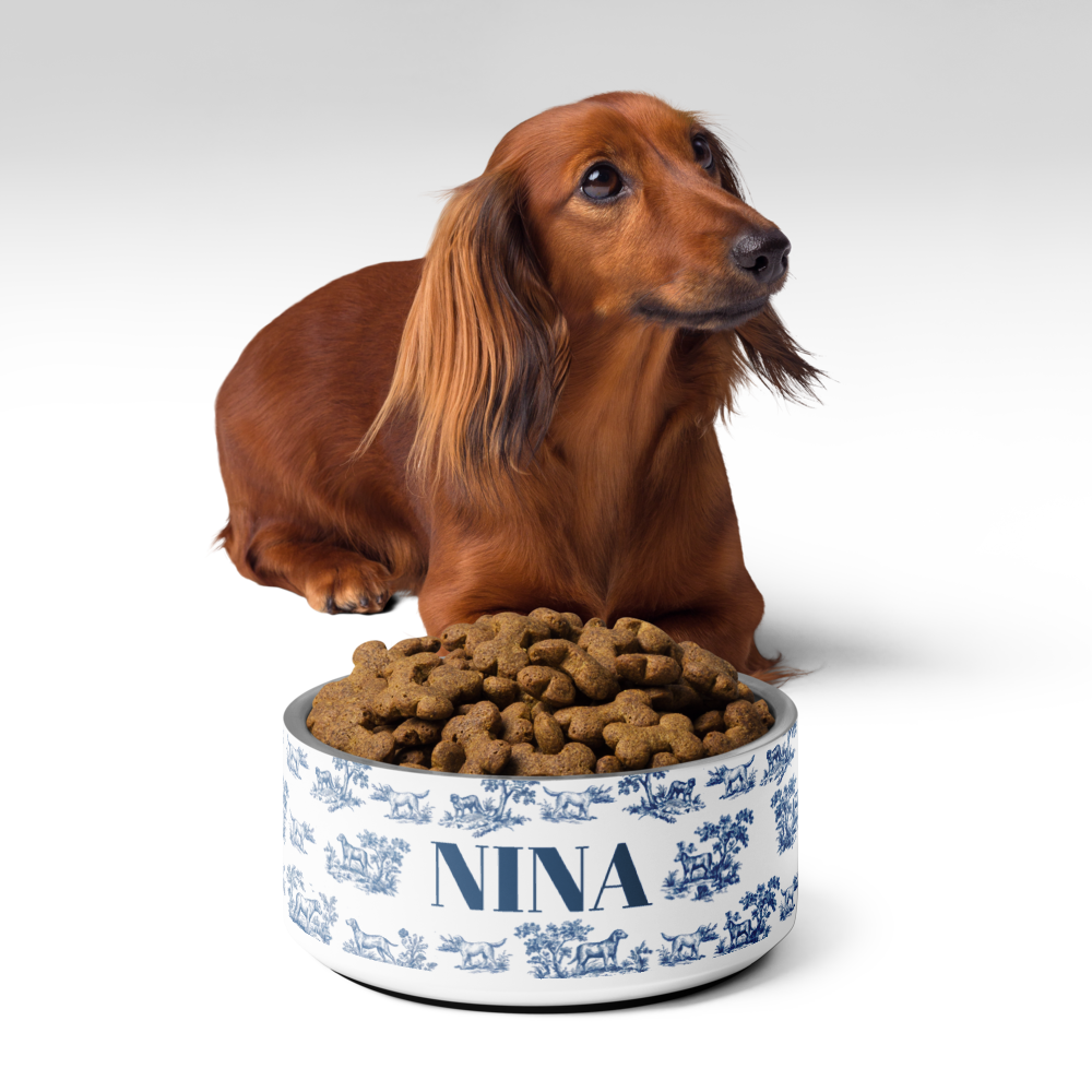 Long-haired dachshund lying behind a blue toile personalized dog bowl filled with kibble