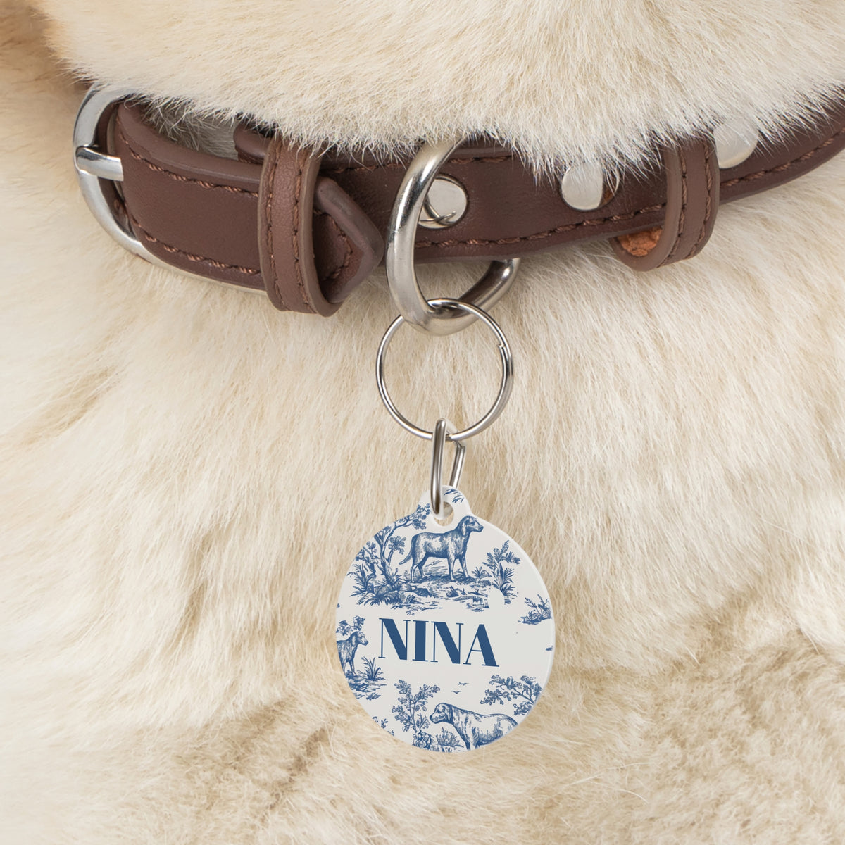 Blue toile pet tag hanging from a dark brown leather collar on a fluffy dog