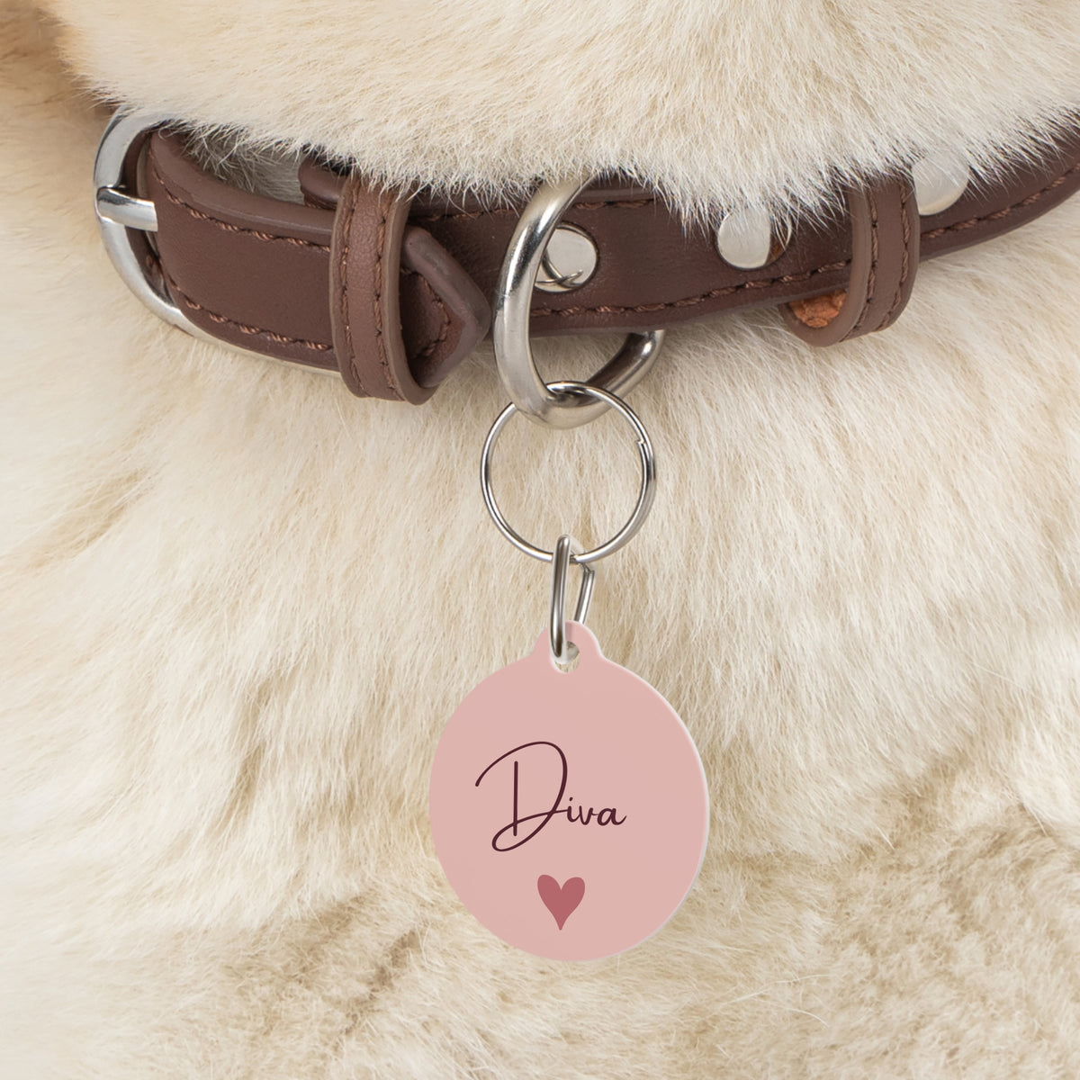 Close-up of the blush heart pet tag hanging from a brown collar on a fluffy dog