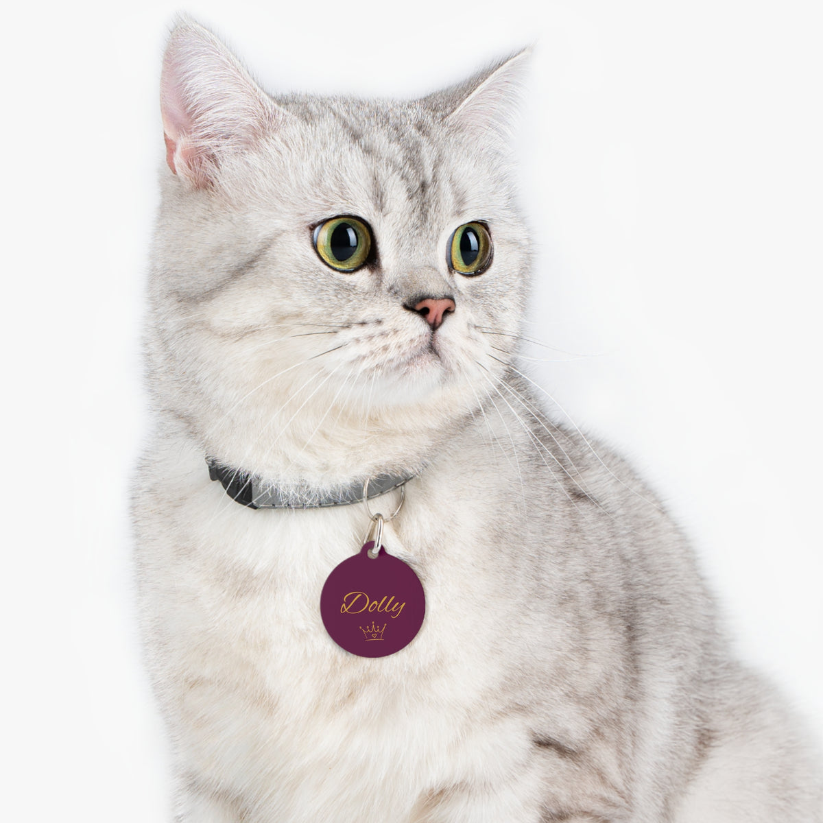 Cat wearing the burgundy crown personalized pet tag