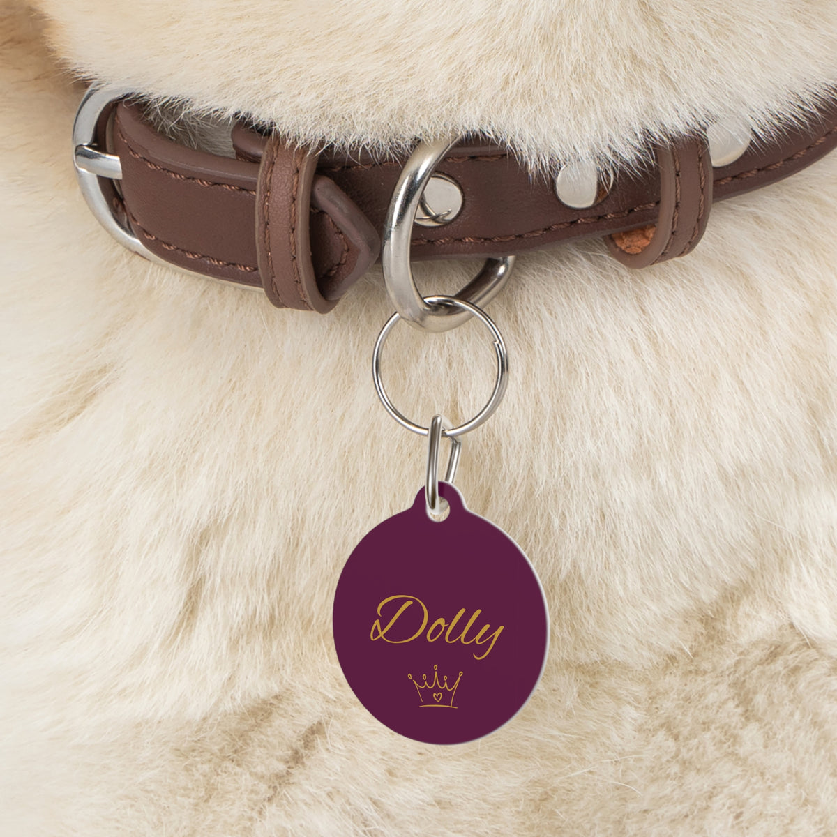 Close-up of the burgundy crown pet tag hanging from a brown collar on a fluffy dog