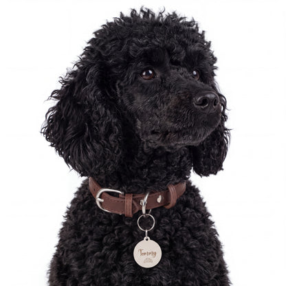 Black curly-haired dog wearing the croissant personalized pet tag on its collar