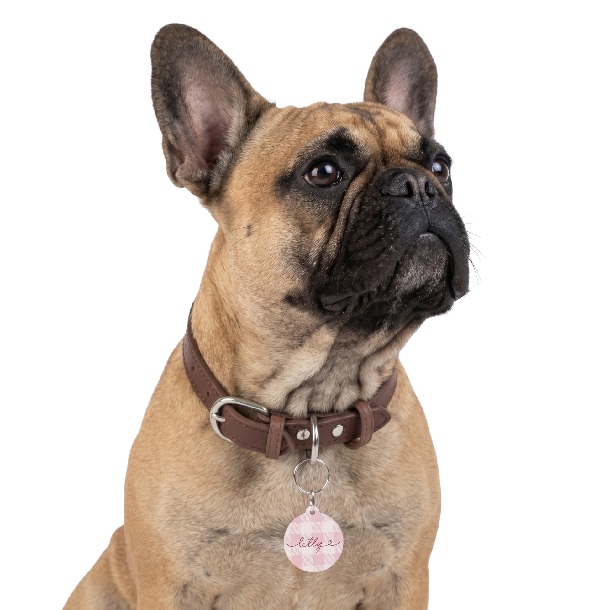 Personalized pink checkered pet tag on dog collar