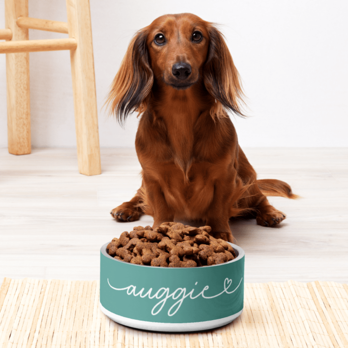 Personalized Jade Green Dog Bowl