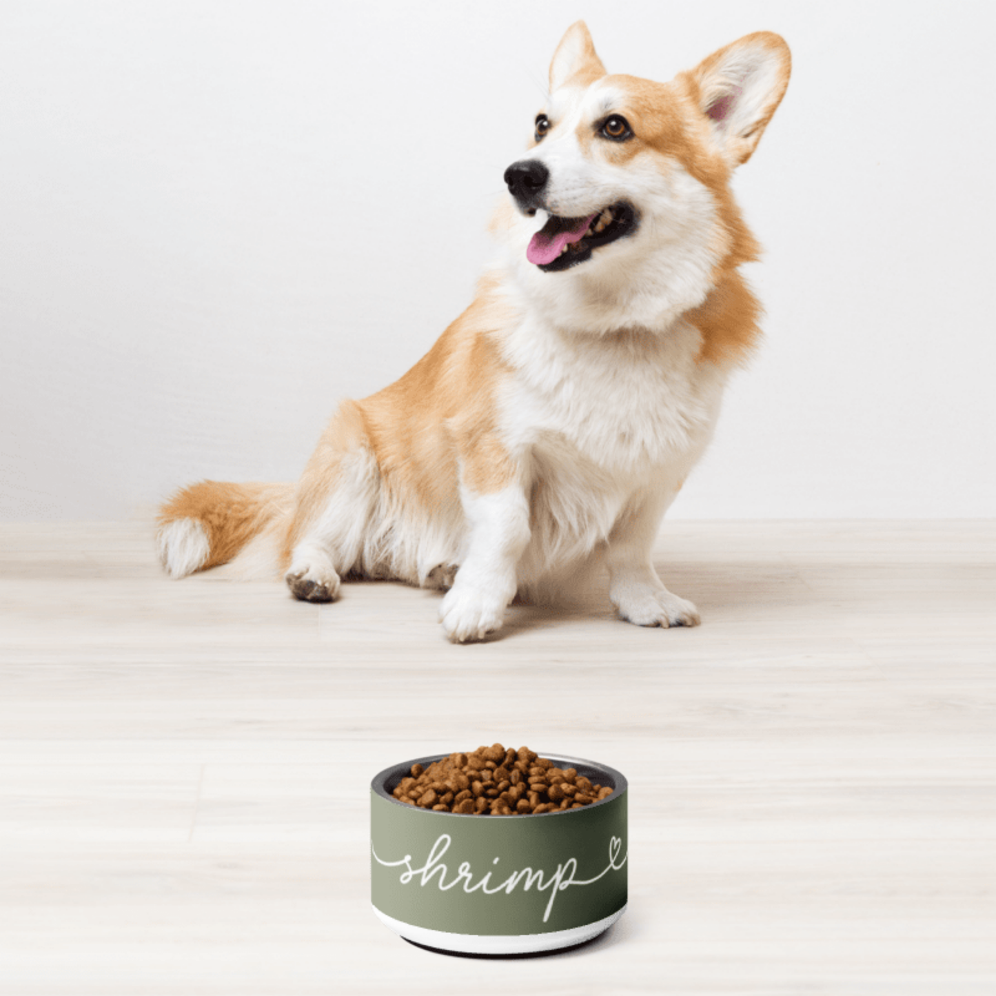 Dog sitting next to a dog bowl labeled 'shrimp' on a light background