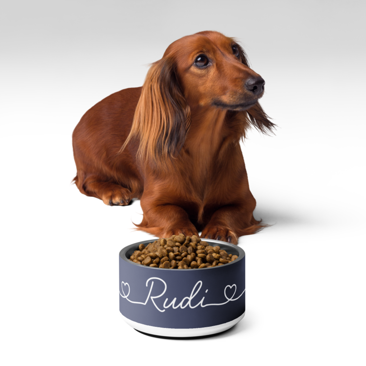 Custom dog food bowl in blue with name Rudi