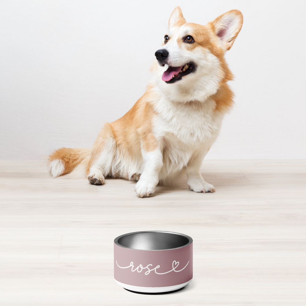 Corgi sitting next to a dusty rose personalized dog bowl