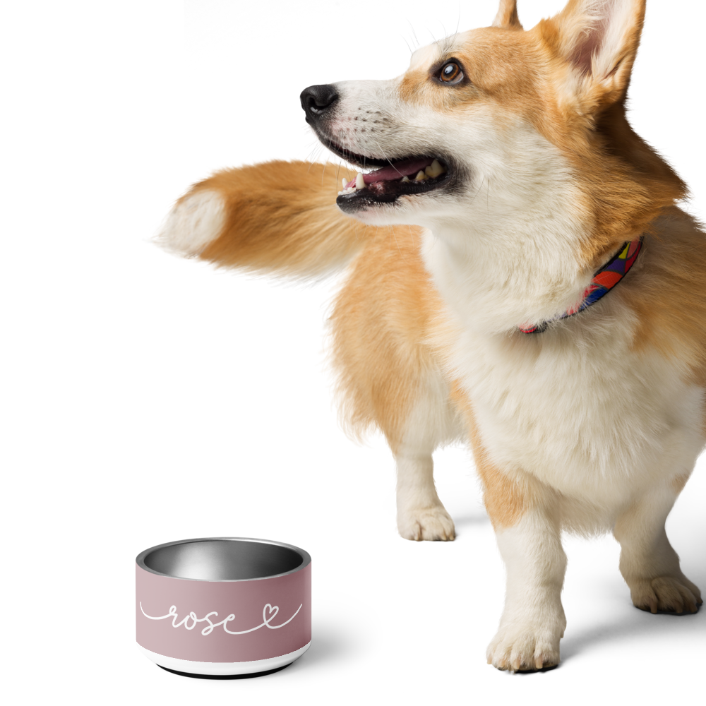 Corgi standing next to a dusty rose personalized dog bowl