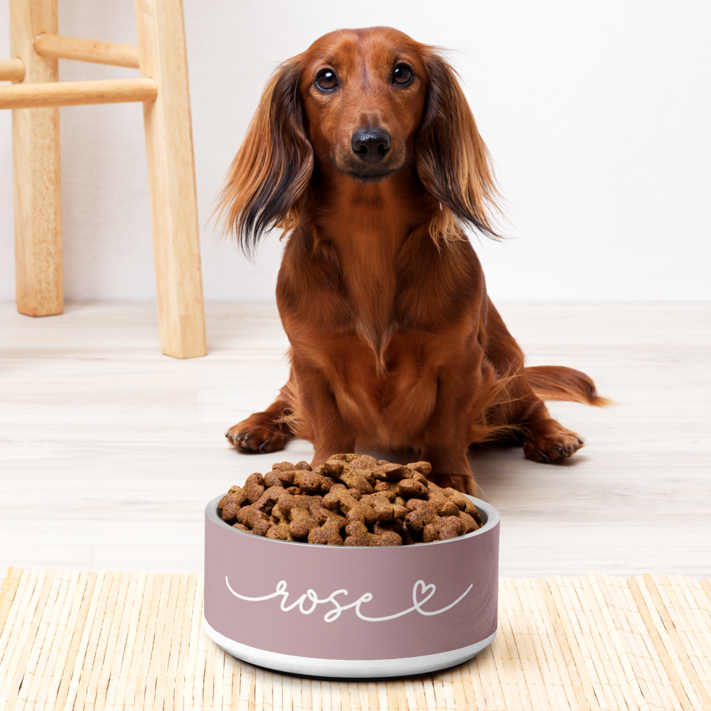 Dachshund next to a dusty rose personalized dog bowl filled with kibble