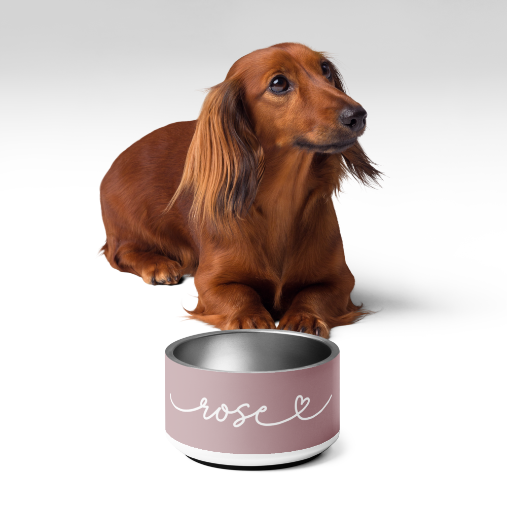 Dachshund sitting behind a dusty rose personalized dog bowl