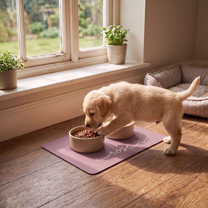 Golden retriever puppy eating from a bowl on a dusty rose personalized pet food mat in a sunny living room