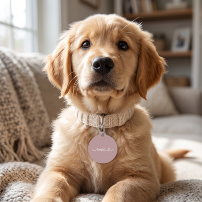 Golden retriever puppy wearing a dusty rose personalized pet tag on a pink collar