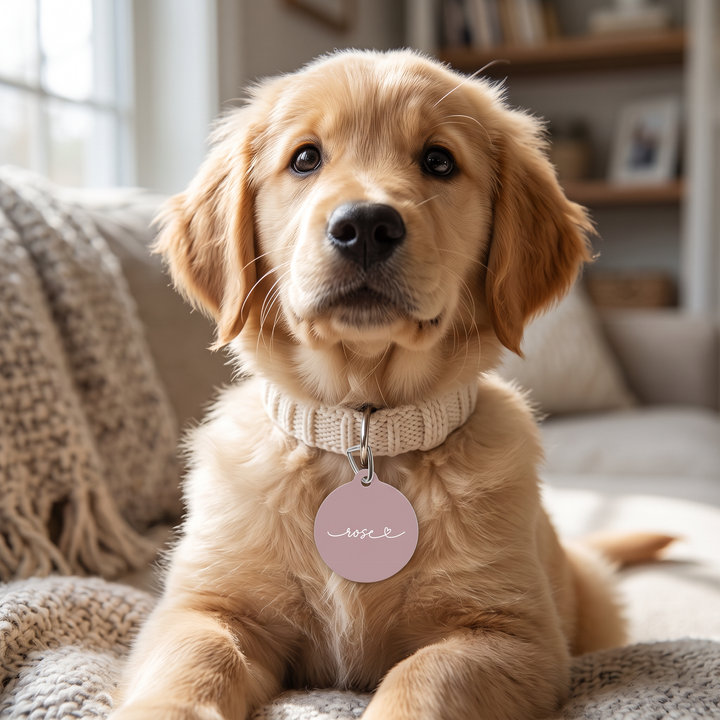 Golden retriever puppy wearing a dusty rose personalized pet tag on a pink collar