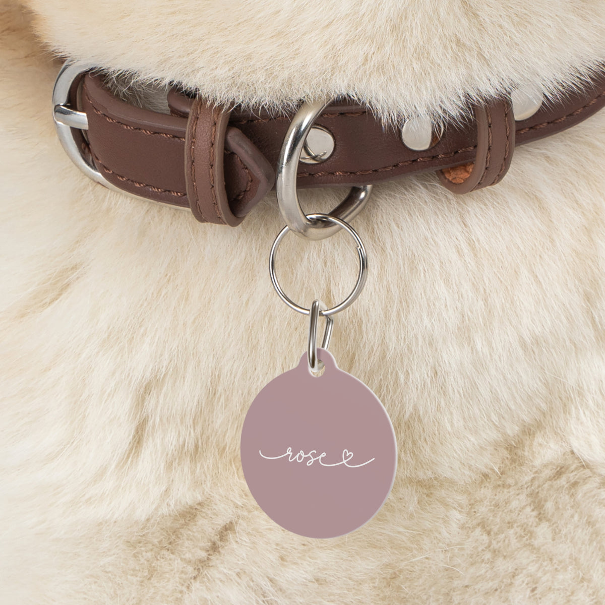 Dusty rose personalized pet tag on a brown collar against fluffy cream dog fur