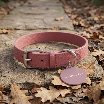 Dusty rose personalized pet tag on a pink leather collar among autumn leaves