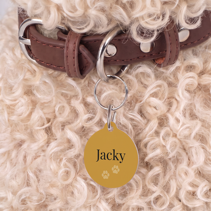 Gold paw print personalized dog tag on a dark brown collar against curly dog fur