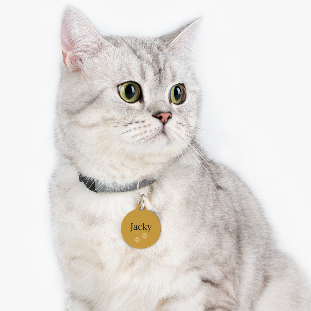 Grey tabby cat wearing the gold paw print personalized pet ID tag