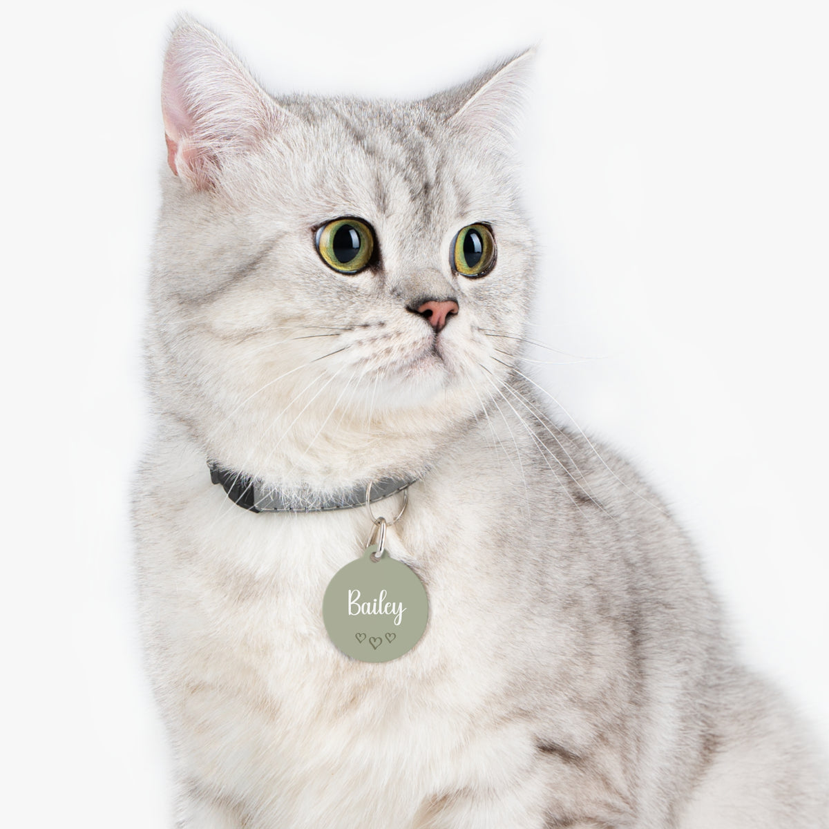Cat wearing the sage green heart personalized pet tag