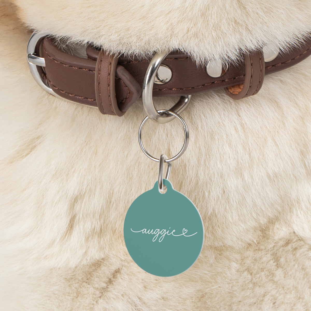 Jade green personalized pet tag on a brown collar against fluffy cream dog fur