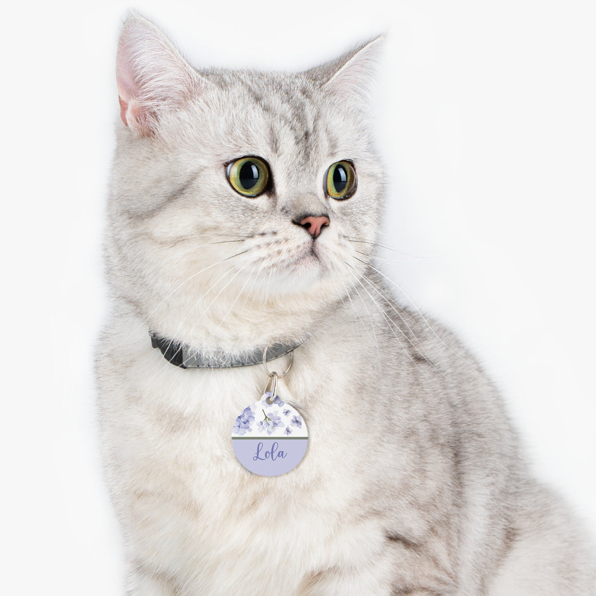 Cat wearing the lavender hydrangea personalized pet tag