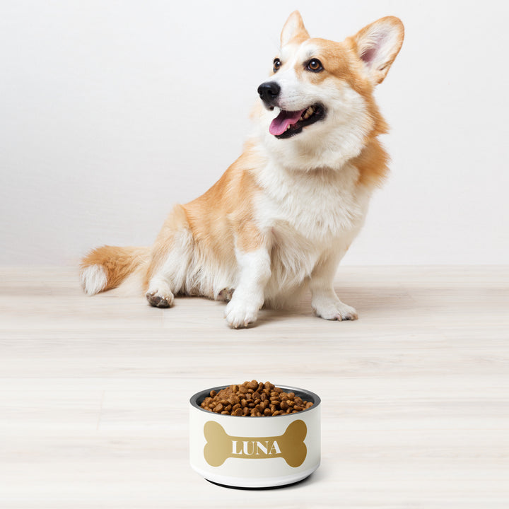 Corgi sitting next to an 18 oz off-white gold bone personalized dog bowl filled with kibble
